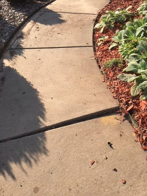 Concrete walkway with red mulch garden bed and green plants along edge