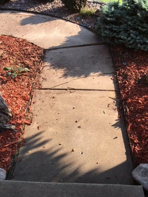 Concrete walkway with leveled sections bordered by red mulch and evergreen shrubs
